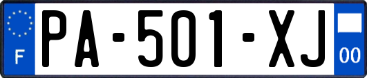 PA-501-XJ