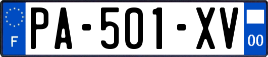 PA-501-XV
