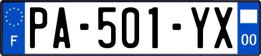 PA-501-YX