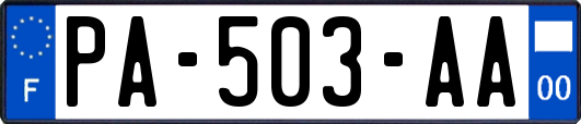 PA-503-AA