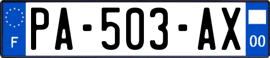 PA-503-AX