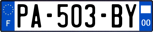 PA-503-BY