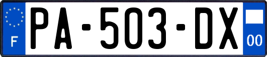 PA-503-DX