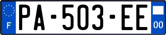 PA-503-EE
