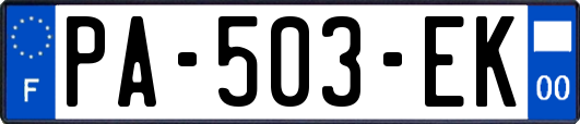 PA-503-EK