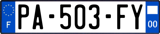 PA-503-FY
