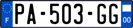 PA-503-GG