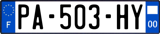 PA-503-HY
