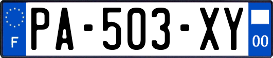 PA-503-XY