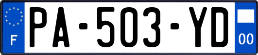 PA-503-YD