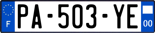 PA-503-YE