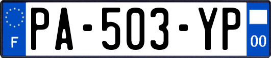 PA-503-YP