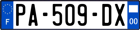 PA-509-DX