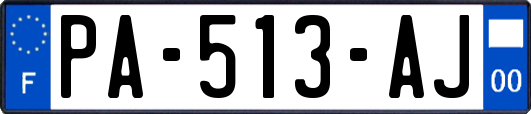 PA-513-AJ