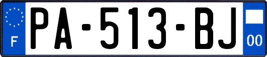PA-513-BJ