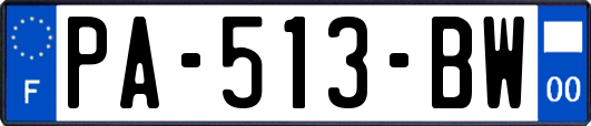 PA-513-BW