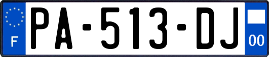 PA-513-DJ