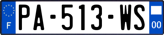 PA-513-WS