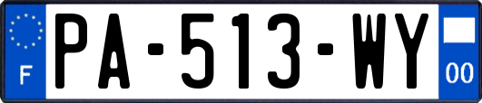 PA-513-WY