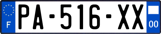 PA-516-XX