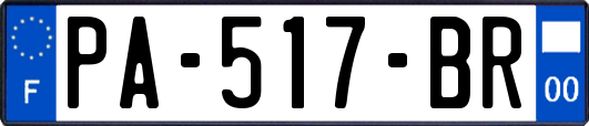 PA-517-BR