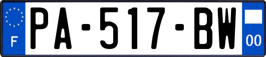 PA-517-BW