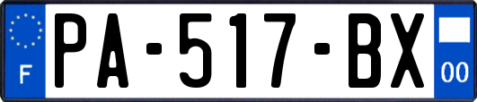 PA-517-BX