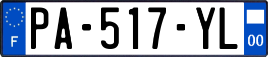 PA-517-YL