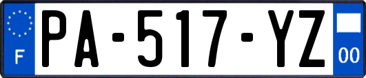 PA-517-YZ
