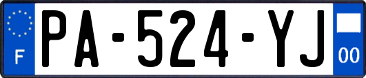 PA-524-YJ