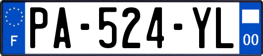 PA-524-YL