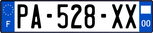PA-528-XX