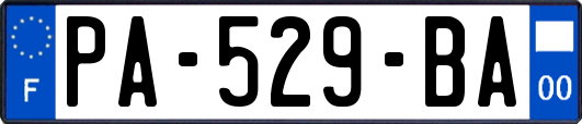 PA-529-BA