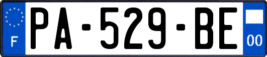 PA-529-BE