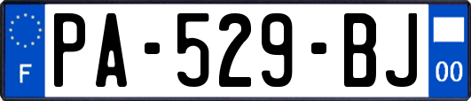 PA-529-BJ