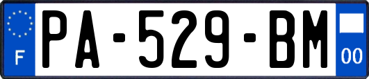 PA-529-BM