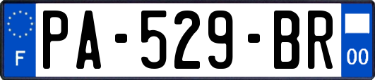 PA-529-BR