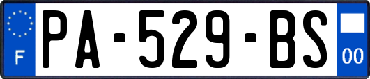 PA-529-BS