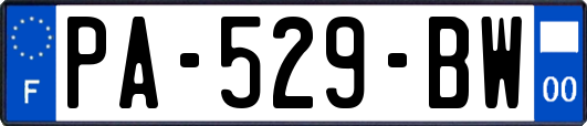 PA-529-BW