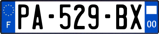 PA-529-BX
