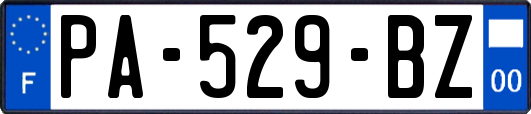 PA-529-BZ