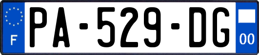 PA-529-DG