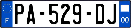 PA-529-DJ