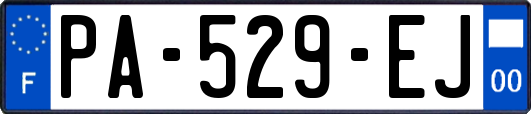 PA-529-EJ