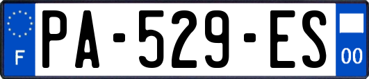 PA-529-ES