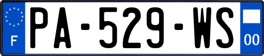 PA-529-WS