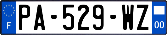 PA-529-WZ