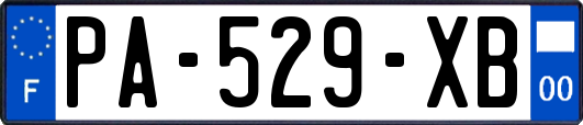 PA-529-XB