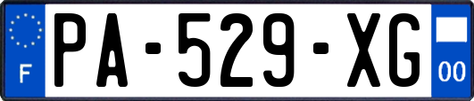 PA-529-XG