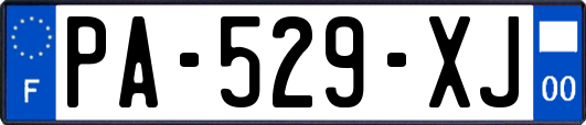 PA-529-XJ